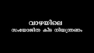 Embedded thumbnail for വാഴയിലെ സംയോജിത കീട നിയന്ത്രണം (Integrated Pest Management in Banana)